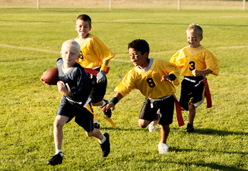 SportsLeagues Pic